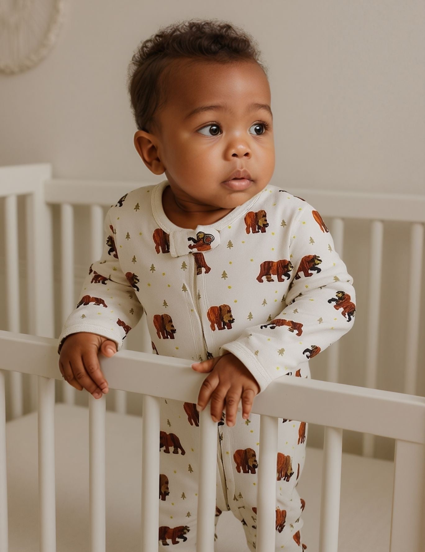 Brown Bear, Brown Bear™ Collection