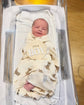 Bamboo Muslin Swaddle Blanket - Teddy Bear Print | 47x47 Organic Baby Swaddle
