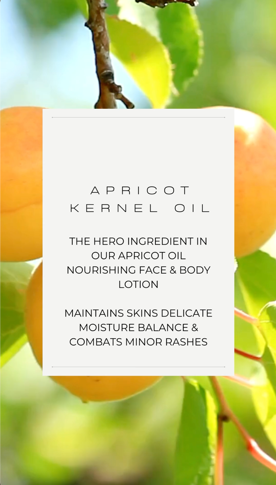 Apricot Oil Nourishing Face & Body Lotion