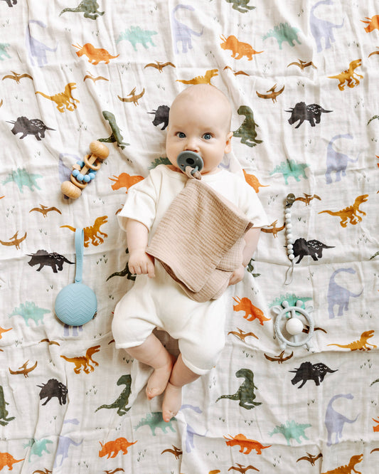 Organic Bamboo Muslin Swaddle Blanket - Dinosaur Print