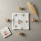 Little Scholar Flat Lay Fresh