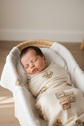 Little Scholar Moses Basket